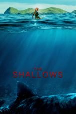 Download The Shallows (2016) Bluray 720p 1080p Subtitle Indonesia