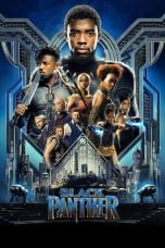 Download Black Panther (2018) Nonton Streaming Subtitle Indonesia