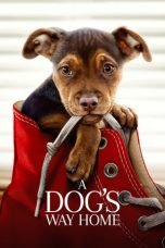 Download A Dog's Way Home (2019) Bluray