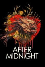 Poster Film After Midnight (2020)